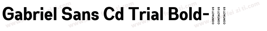 Gabriel Sans Cd Trial Bold字体转换